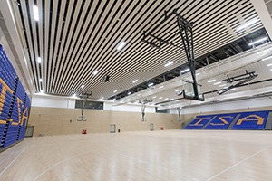 广州科学城爱莎外籍人员子女学校校园环境