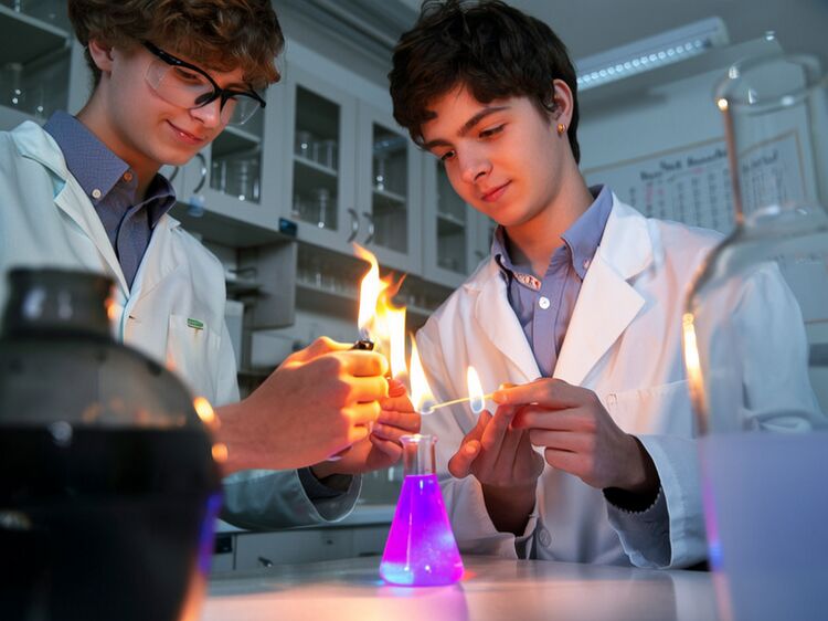 安徽国际职业学校