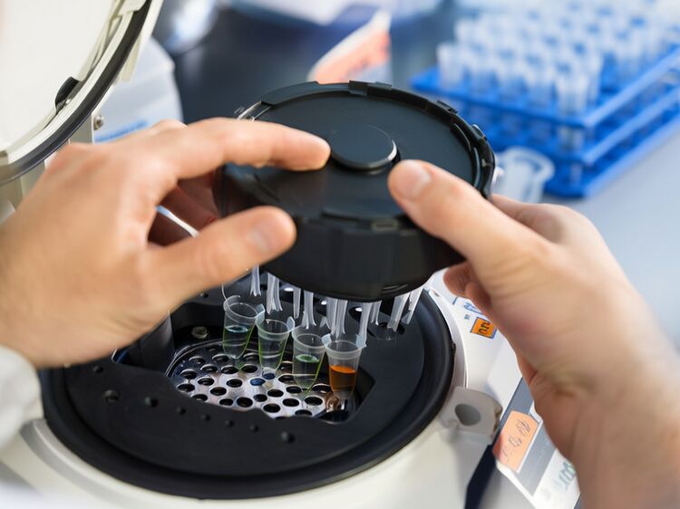 常熟双语国际学校