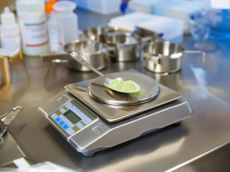 北京力迈国际学校官网