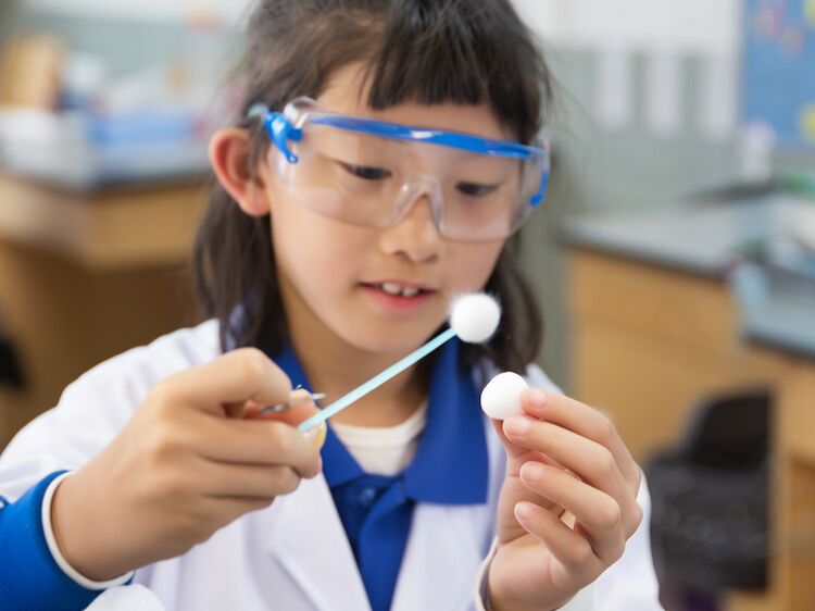 国际学校八十中