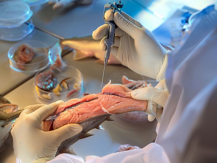 武清私立初中有几个