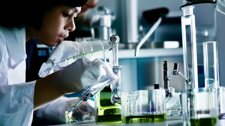 广州英东国际学校官网