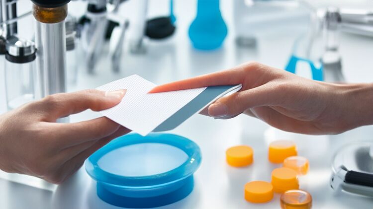 海口澄迈国际学校的校园一角